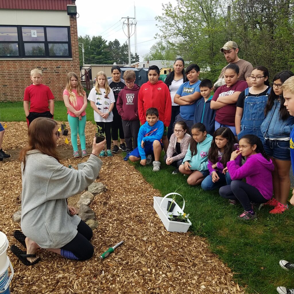 Teaching children about pollinator gardens