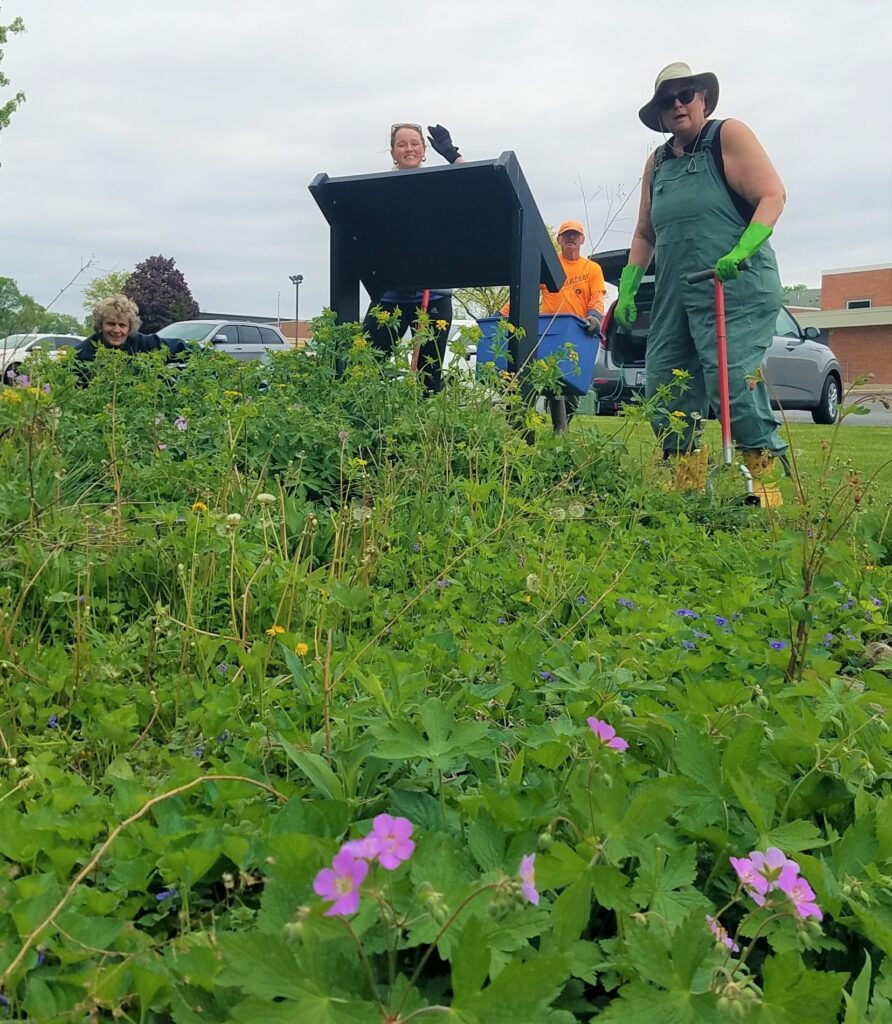 pollinator friendly community action team