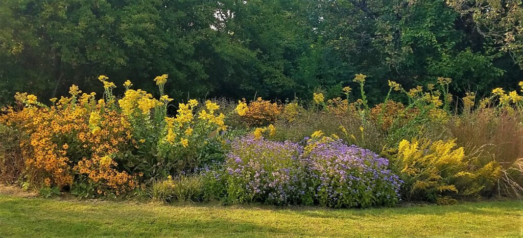 pollinator garden at Harrison School, Wonder Lake, Illinois