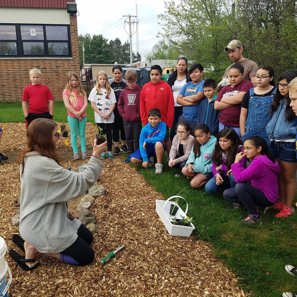 focus box for pollinator gardens - teaching children