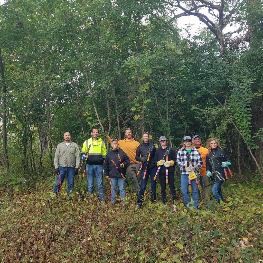 Savanna restoration - before removing invasive shrubs